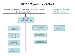 Fat Proton Water Proton Mrisc Organizational Chart Medical
