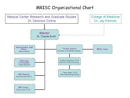 fat proton water proton mrisc organizational chart medical