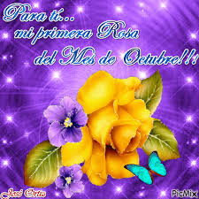 Para Ti Mi Primera Rosa Del Mes De Octubre Picmix