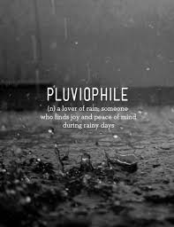 Pluviophile A Lover Of Rain Wonderful Words Cool Words Words
