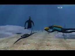 Pin On Steve Irwin The Crocodile Hunter