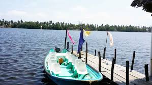 Resultado de imagen de platillos tipicos de pijijiapan