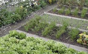 Gemusegarten Anlegen Und Planen Mein Schoner Garten