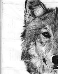 This tutorial will show you how i draw a basic, neutral wolf in a standing pose. Shanita Lyn Wolf Sketch Wolf Face Drawing Wolf Drawing