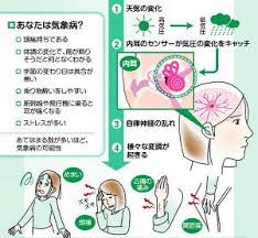 ボード 健康と美容 のピン