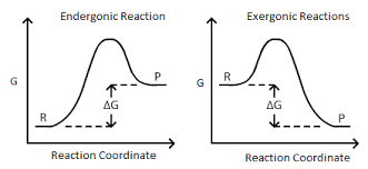 Connection Between E_ Cell G And K Chemistry