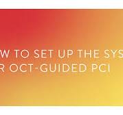 Optical Coherence Tomography (OCT) Intravascular Imaging ...