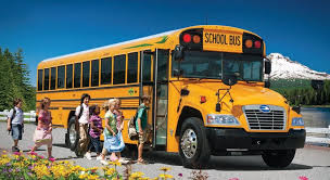 Image result for School Bus Yellow 2009 Fleet
