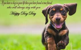 If pets had thumbs day. Best Inspirational National Dog Day Quotes 2021 With Wishes Greetings Sayings Gsmarena Com