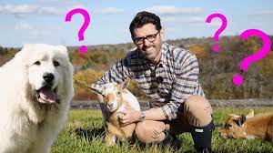 Farm Update Youtube