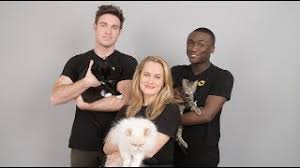 Photo features relive the 2016 broadway revival of cats. The Cast Of Cats Meets Shelter Cats Cats The Musical Youtube