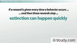 Sure, you can find a definition in the dictionary, but think about it. Cognitive Behavior Modification In The Classroom Study Com