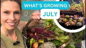 MID WINTER FULL VEGGIE GARDEN TOUR