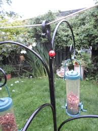 Pin By Paul Clarke On Bird Feeders Bird Feeders Outdoor Decor Handcraft