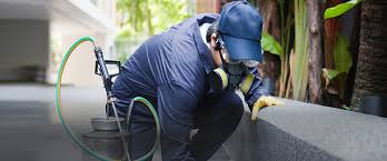 How to use bed bug sprays. Pest Control In Andheri Andheri Pest Control