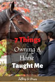 7 Things Owning A Horse Taught Me Guest Blog Horses Horse Care Horse Training