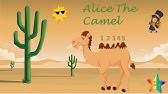 Camel song alice the camel has 5 humps so go alice go boom, boom boom! Alice The Camel Storytime Song Youtube
