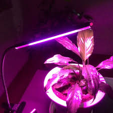 We did not find results for: Pin On Lights Lighting