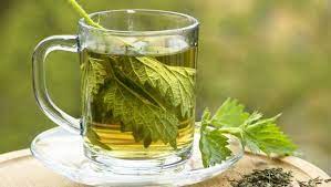 We did not find results for: 8 Health Benefits Of Nettle Tea Flush Out Toxins With This Detox Drink Ndtv Food