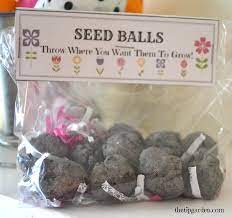 Seed Balls Toss Grow Gift Seed Balls Seed Bombs Seeds
