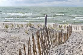Op het vakantiepark landal marker wadden zijn er wandelpaden, unieke vogelkijkplekken en er is een strand. Welcome To The Marker Wadden Archipelago A Unique Nature Park In The Netherlands Act Of Traveling