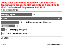 Companies Worldwide That Use Cross Functional Teams Work