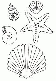 Merkmale der klasse sind eine aus zwei. Pin Von Katarxna Auf Mi Cositas Seestern Muscheln Zeichnen Kinderbasteleien