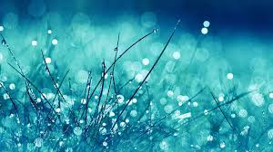 خلفية بطاقة العمل زر التقويم عيد الميلاد حريق الزهور علامة تجارية استئناف أشرطة دخان قالب شجرة. ØµÙØ± Ø®ÙÙÙØ§Øª Ø³Ø·Ø­ Ø§ÙÙÙØªØ¨ ØªØ­ÙÙÙ Ø®ÙÙÙØ§Øª ÙÙØ¨ÙÙØªØ± Hd ÙÙÙØ³Ø§ØªÙ