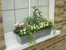 Compare prices & read reviews. Photo Gallery