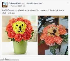 Check spelling or type a new query. Bloomnation A Budding Platform For Florists Digital Innovation And Transformation