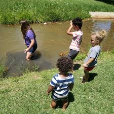 Profile for Tonya Lee Hollon