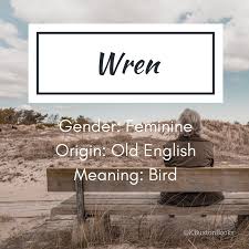 Wren Girl S Name Names With Meaning Names Wren Name