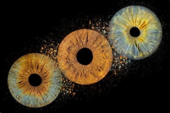 Three iris artwork