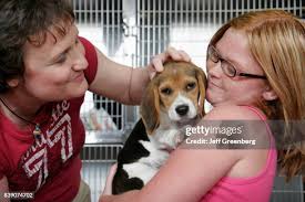 16 Peninsula Spca Stock Photos, High-Res Pictures, and Images