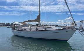 Image result for Tropical Blue 1977 Hussmann