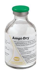 Here you can download file tutor injek 3. Ampi Dry Injektionslosung Flasche 50 Ml Mit 5 G Pulver Antibiotika Und Chemotherapeutika Pharma Pharma Covetrus De Online Shop