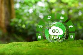 What Is A Carbon Footprint In Business ...