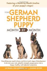 This means that it will need to relieve itself. Your German Shepherd Puppy Month By Month Palika Liz Eldredge Dvm Debra Olivier Joanne 9781615642229 Amazon Com Books