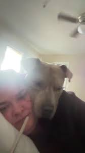 Can you tell I give my dogs a bite of my food every time I eat or what  lol#dogsoftiktok #dogs #fyp