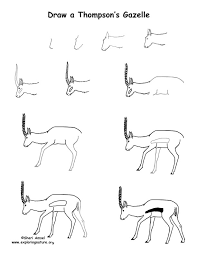 Training may be for purposes such as companionship, detection, protection, and entertainment. Draw An African Grassland