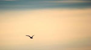 Photo La mto du mercredi 5 mars 2025  Tarbes et ses environs