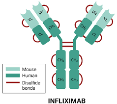 Image result for Infliximab