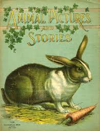 animal pictures and stories children s book illustration animal books old children s books