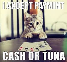 We did not find results for: Cat Money Meme Google Search Money Meme Cats Video Games For Kids