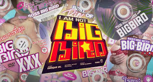 Enrique Gils New Movie Gets a Porn Twist With I Am Not Big Bird