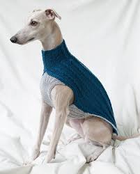 Check spelling or type a new query. Italian Greyhound Whippet Sweater Jumper Blue Gray Dog Sweaters Diy Dog Sweater Whippet