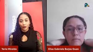 'No es placa de papel, es un permiso de circulación': Elisa Borjas