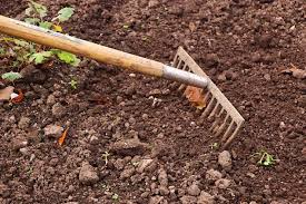 Check spelling or type a new query. 9 Essential Gardening Tools And Their Uses Garden Buildings Direct