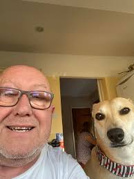 Pretty Perkins Santa Paws Helper