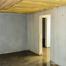 Begin this step by combining warm water with a mild brand of soap. How To Remove Mold In Basements Crawlspaces Concrobium